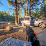 Campground with grey minivan and black dog