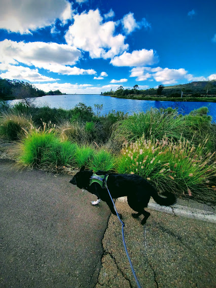 Lake Miramar